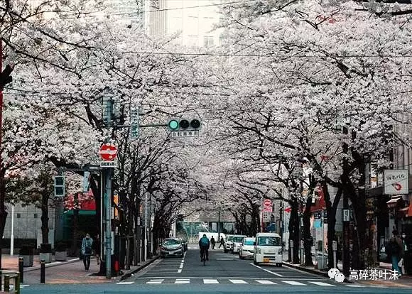 请输入图片描述