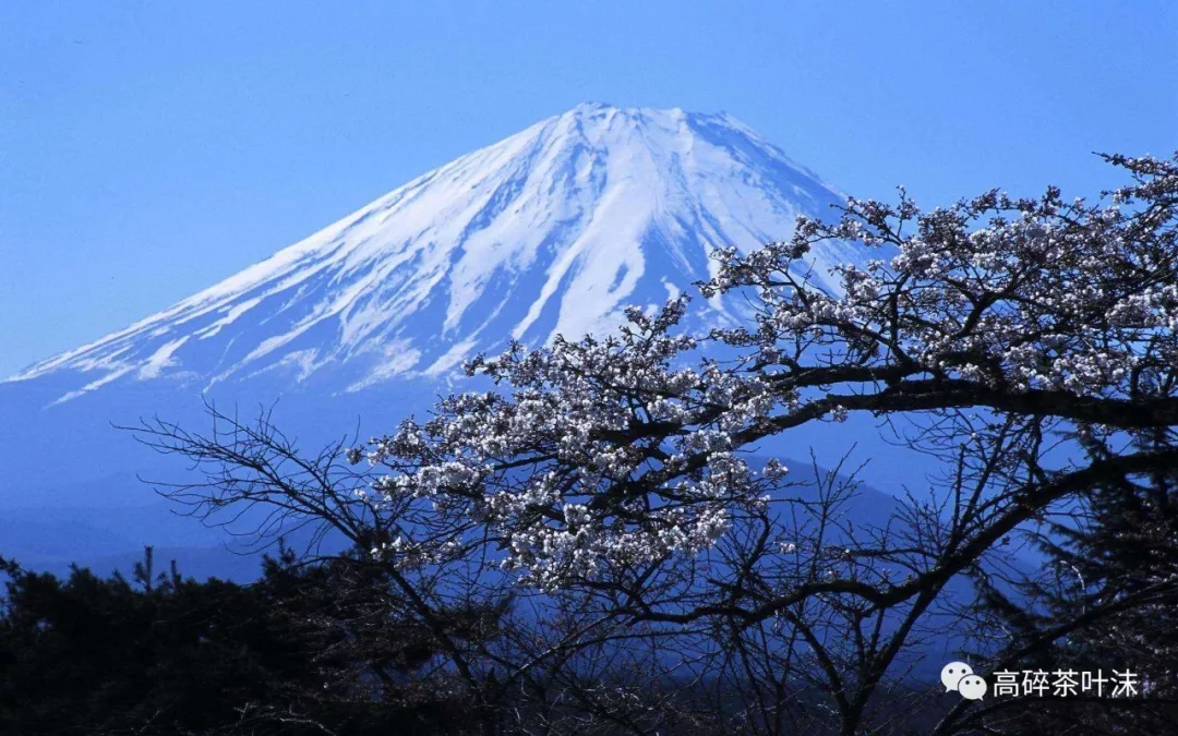 请输入图片描述