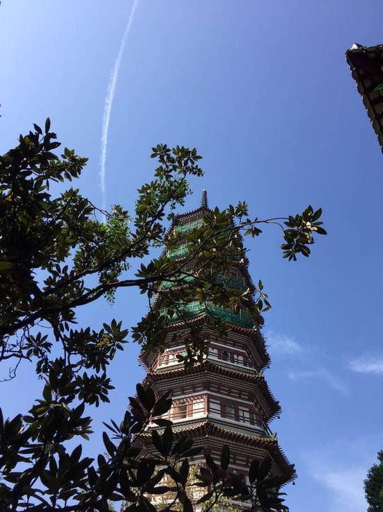 请输入图片描述