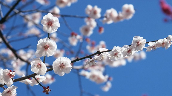 请输入图片描述