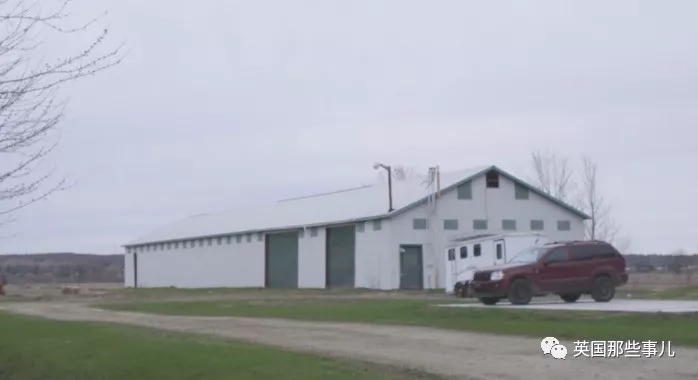 请输入图片描述